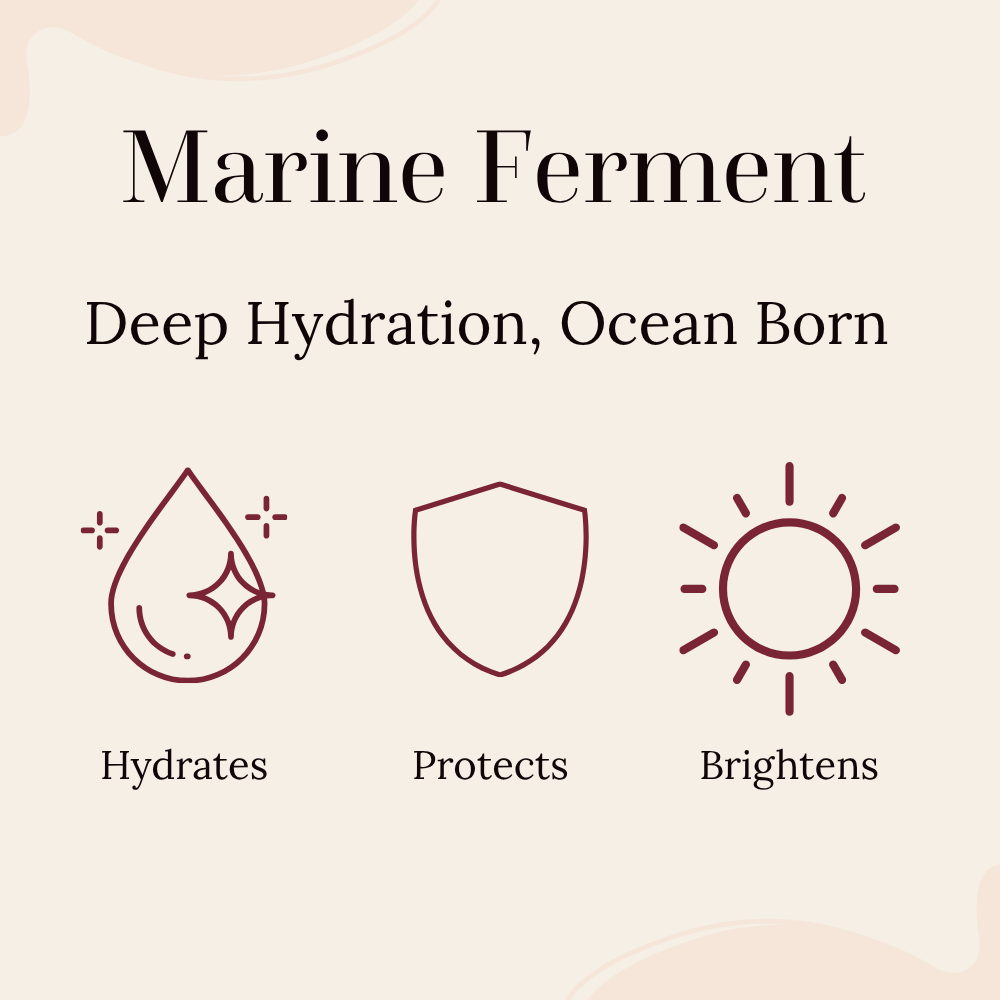 marine ferment key ingredient in gel cream benefits