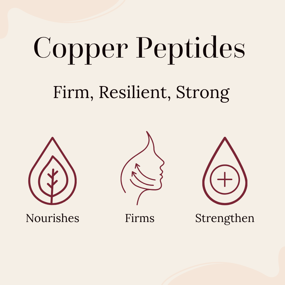 copper peptides are key ingredients in our peptide creme and its benefits